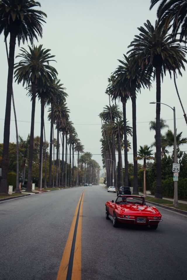 Ein rotes Oldtimer-Cabrio fährt auf einer von hohen Palmen gesäumten Straße in Los Angeles.