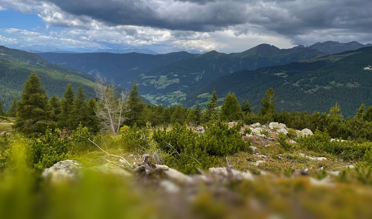 Ein weiter Blick von einem Berg über ein grünes Tal auf die umliegende Bergwelt Südtirols.